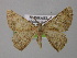  ( - BC ZSM Lep 00377)  @13 [ ] CreativeCommons - Attribution Non-Commercial Share-Alike (2010) Unspecified SNSB, Zoologische Staatssammlung Muenchen