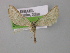  ( - BC ZSM Lep 00437)  @13 [ ] CreativeCommons - Attribution Non-Commercial Share-Alike (2010) Unspecified SNSB, Zoologische Staatssammlung Muenchen