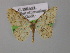  ( - BC ZSM Lep 00454)  @13 [ ] CreativeCommons - Attribution Non-Commercial Share-Alike (2010) Unspecified SNSB, Zoologische Staatssammlung Muenchen