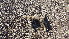  ( - GECM-0019)  @11 [ ] No Rights Reserved  Unspecified Unspecified
