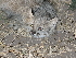  ( - GECM-0072)  @11 [ ] No Rights Reserved  Unspecified Unspecified