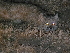 ( - GECM-0078)  @11 [ ] No Rights Reserved  Unspecified Unspecified