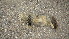 ( - GECM-0094)  @11 [ ] No Rights Reserved  Unspecified Unspecified