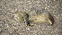  ( - GECM-0094)  @11 [ ] No Rights Reserved  Unspecified Unspecified