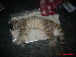 ( - GECM-0107)  @11 [ ] No Rights Reserved  Unspecified Unspecified