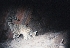  ( - GECM-0108)  @11 [ ] No Rights Reserved  Unspecified Unspecified