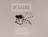  ( - 1035636)  @11 [ ] Copyright (2024) Beka Chitadze Ilia State University, Institute of Ecology