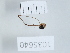  ( - 1035640)  @11 [ ] Copyright (2024) Beka Chitadze Ilia State University, Institute of Ecology
