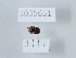  ( - 1035651)  @11 [ ] Copyright (2024) Beka Chitadze Ilia State University, Institute of Ecology
