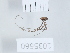  ( - 1035660)  @11 [ ] Copyright (2024) Beka Chitadze Ilia State University, Institute of Ecology