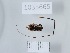  ( - 1035665)  @11 [ ] Copyright (2024) Beka Chitadze Ilia State University, Institute of Ecology