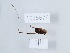  ( - 1035676)  @11 [ ] Copyright (2024) Beka Chitadze Ilia State University, Institute of Ecology