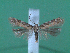  ( - KLM Lep 00132)  @13 [ ] CreativeCommons - Attribution Non-Commercial Share-Alike (2010) Tiroler Landesmuseen Tiroler Landesmuseen