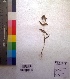 ( - DNAFR001029)  @11 [ ] Copyright (2015) Gujarat Biodiversity Gene Bank, GSBTM, DST, GoG Gujarat Biodiversity Gene Bank, GSBTM, DST, GoG