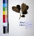  ( - DNAFR000977)  @11 [ ] Copyright (2015) Gujarat Biodiversity Gene Bank Gujarat Biodiversity Gene Bank, GSBTM, DST, GoG, India