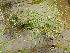  ( - DNAFR001297)  @11 [ ] Copyright (2015) Gujarat Biodiversity Gene Bank, GSBTM, DST, GoG Gujarat Biodiversity Gene Bank, GSBTM, DST, GoG