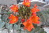  ( - DNAFR001186)  @11 [ ] Copyright (2015) Gujarat Biodiversity Gene Bank, GSBTM, DST, GoG Gujarat Biodiversity Gene Bank, GSBTM, DST, GoG