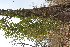  ( - DNAFR001622)  @11 [ ] Copyright (2016) Gujarat Biodiversity Gene Bank Gujarat Biodiversity Gene Bank