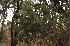  ( - DNAFR001627)  @11 [ ] Copyright (2016) Gujarat Biodiversity Gene Bank Gujarat Biodiversity Gene Bank