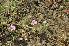  ( - DNAFR001390)  @11 [ ] Copyright (2016) Gujarat Biodiversity Gene Bank, GSBTM, DST, GoG Gujarat Biodiversity Gene Bank, GSBTM, DST, GoG