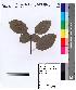  ( - DNAFR000107)  @11 [ ] Copyright (2012) Unspecified Gujarat State Biotechnology Mission