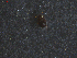  ( - 11237-D07)  @12 [ ] CreativeCommons - Attribution Non-Commercial Share-Alike (2011) Thibaud Decaens ECODIV