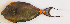  ( - P010301740)  @11 [ ] CreativeCommons Attribution ShareAlike (2021) Institut Halieutique et des Sciences Marines Institut Halieutique et des Sciences Marines