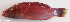  ( - P07141233)  @11 [ ] CreativeCommons Attribution ShareAlike (2021) Institut Halieutique et des Sciences Marines Institut Halieutique et des Sciences Marines