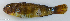  ( - P07241307)  @11 [ ] CreativeCommons Attribution ShareAlike (2021) Institut Halieutique et des Sciences Marines Institut Halieutique et des Sciences Marines