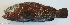  ( - P07281753)  @11 [ ] CreativeCommons Attribution ShareAlike (2021) Institut Halieutique et des Sciences Marines Institut Halieutique et des Sciences Marines