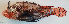  ( - P07311832)  @11 [ ] CreativeCommons Attribution ShareAlike (2021) Institut Halieutique et des Sciences Marines Institut Halieutique et des Sciences Marines