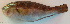  ( - P08022082)  @11 [ ] CreativeCommons Attribution ShareAlike (2021) Institut Halieutique et des Sciences Marines Institut Halieutique et des Sciences Marines