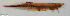  ( - P08022102)  @11 [ ] CreativeCommons Attribution ShareAlike (2021) Institut Halieutique et des Sciences Marines Institut Halieutique et des Sciences Marines