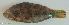 ( - P08022201)  @11 [ ] CreativeCommons Attribution ShareAlike (2021) Institut Halieutique et des Sciences Marines Institut Halieutique et des Sciences Marines