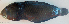  ( - P08140003)  @11 [ ] CreativeCommons Attribution ShareAlike (2021) Institut Halieutique et des Sciences Marines Institut Halieutique et des Sciences Marines