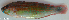  ( - P08240229)  @11 [ ] CreativeCommons Attribution ShareAlike (2021) Institut Halieutique et des Sciences Marines Institut Halieutique et des Sciences Marines