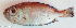  ( - P09130512)  @11 [ ] CreativeCommons Attribution ShareAlike (2021) Institut Halieutique et des Sciences Marines Institut Halieutique et des Sciences Marines