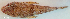  ( - P09140720)  @11 [ ] CreativeCommons Attribution ShareAlike (2021) Institut Halieutique et des Sciences Marines Institut Halieutique et des Sciences Marines