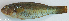 ( - P1101031)  @11 [ ] CreativeCommons Attribution ShareAlike (2021) Institut Halieutique et des Sciences Marines Institut Halieutique et des Sciences Marines