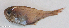  ( - P1101066)  @11 [ ] CreativeCommons Attribution ShareAlike (2021) Institut Halieutique et des Sciences Marines Institut Halieutique et des Sciences Marines