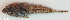  ( - P11202156)  @11 [ ] CreativeCommons Attribution ShareAlike (2021) Institut Halieutique et des Sciences Marines Institut Halieutique et des Sciences Marines