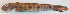  ( - P12070215)  @11 [ ] CreativeCommons Attribution ShareAlike (2021) Institut Halieutique et des Sciences Marines Institut Halieutique et des Sciences Marines