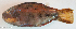  ( - P12100328)  @11 [ ] CreativeCommons Attribution ShareAlike (2021) Institut Halieutique et des Sciences Marines Institut Halieutique et des Sciences Marines