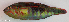  ( - P2261042)  @11 [ ] CreativeCommons Attribution ShareAlike (2021) Institut Halieutique et des Sciences Marines Institut Halieutique et des Sciences Marines