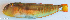  ( - P3190346)  @11 [ ] CreativeCommons Attribution ShareAlike (2021) Institut Halieutique et des Sciences Marines Institut Halieutique et des Sciences Marines