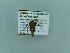  ( - BC ZSM Lep 79786)  @12 [ ] CreativeCommons - Attribution Non-Commercial Share-Alike (2015) Axel Hausmann/Bavarian State Collection of Zoology (ZSM) SNSB, Zoologische Staatssammlung Muenchen