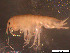  ( - Gf_Cro5_01)  @13 [ ] CreativeCommons - Attribution Non-Commercial Share-Alike (2013) Meike A.Seefeldt Ruhr University Bochum
