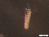  ( - Gf_Cro5_01)  @13 [ ] CreativeCommons - Attribution Non-Commercial Share-Alike (2013) Meike A.Seefeldt Ruhr University Bochum