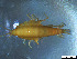  ( - Gf_Ger6_01)  @14 [ ] CreativeCommons - Attribution Non-Commercial Share-Alike (2013) Meike A.Seefeldt Ruhr University Bochum