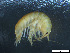  ( - Gf_Ger6_03)  @13 [ ] CreativeCommons - Attribution Non-Commercial Share-Alike (2013) Meike A.Seefeldt Ruhr University Bochum